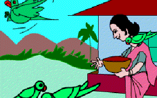 Parrots in My Garden