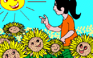 Sunflowers