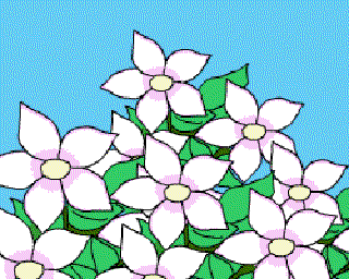 The White Flowers [Illustration by Sudheer Nath]