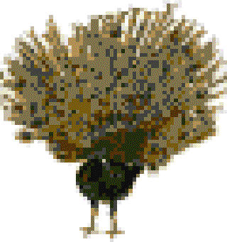 Chun Mun's Friends [Illustrations by D. K. Sharma]