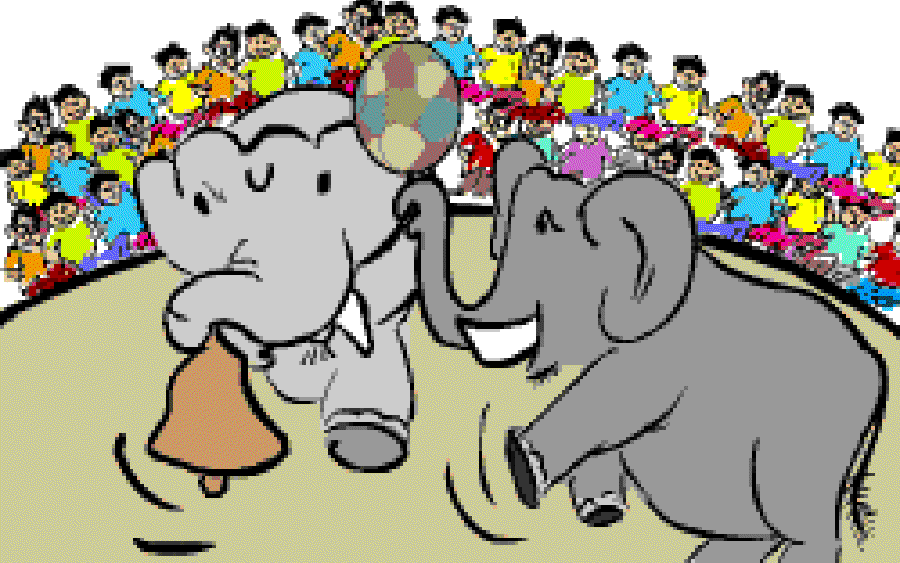 The Wonder Elephants