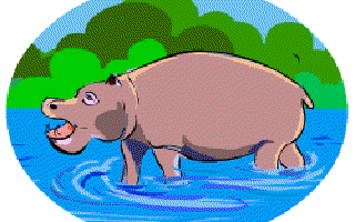 The Whopping Hippo