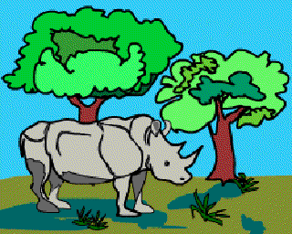 The Fearless Rhino [Illustration by Anup Singh]
