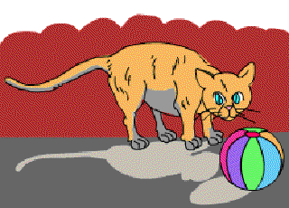 Fluff, the Cat [Illustration by Anup Singh]