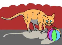 Fluff, the Cat [Illustration by Anup Singh]