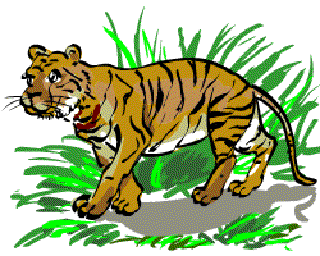 Tiger King [Illustration by Anup Singh]