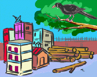 The Jungle [Illustration by Anup Singh]