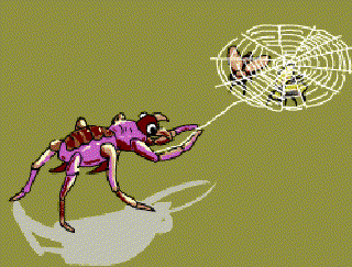 The Spider on the Wall [Illustration by Anup Singh]