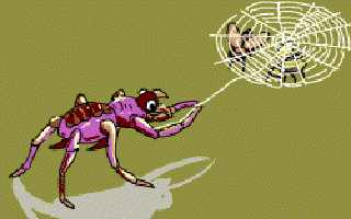 The Spider on the Wall