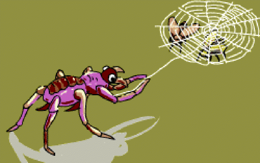 The Spider on the Wall