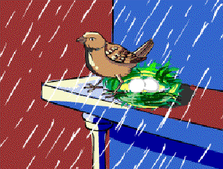 The Sparrow's Nest [Illustration by Anup Singh]