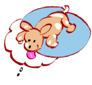 Dog Dream [Illustration by Shinod AP]