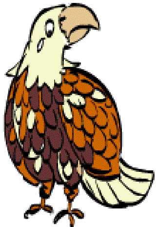 The Eagle’s Tale [Illustration by Shinod AP]