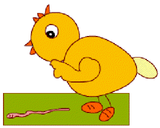 Little Chick [Illustration by Shinod AP]