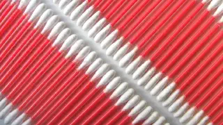 Illustration for What are Q-Tips?