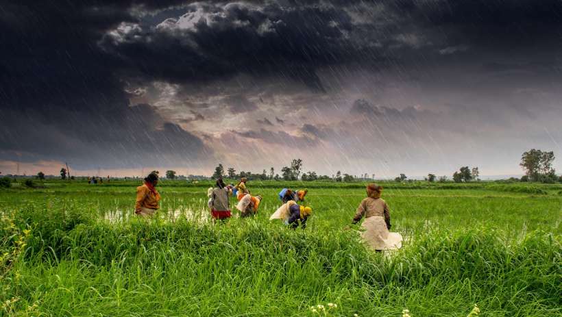 (c) Rajarshi MITRA.