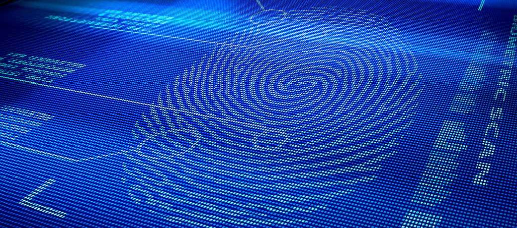 Can Two People have Identical Fingerprints?