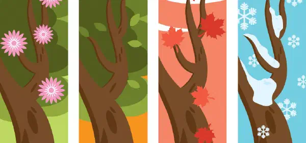 Illustration for Seasons