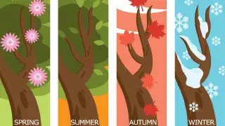 Illustration for Seasons