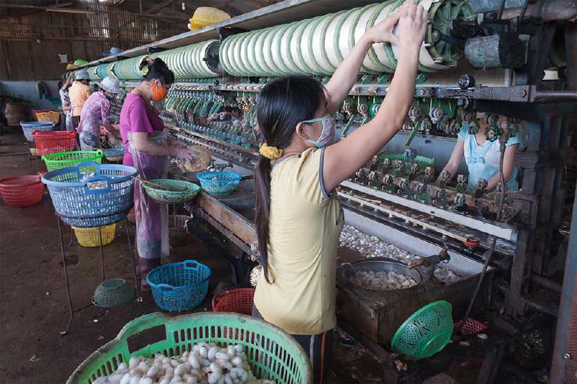 Women working on weaving machine using silkworm cocoons in a silk factory. [Elena Mirage](http://www.shutterstock.com/gallery-1533710p1.html?cr=00&pl=edit-00) / [Shutterstock.com](http://www.shutterstock.com/?cr=00&pl=edit-00)