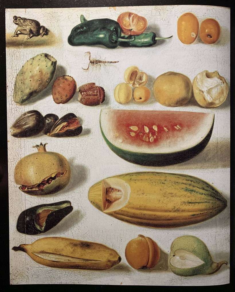 Why Do Plants Bear Fruit? [ 1874, Still Life with Fruit by Hermenegildo Bustos Hermenegildo Bustos / Public domain]