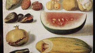 Illustration for Why Do Plants Bear Fruit?