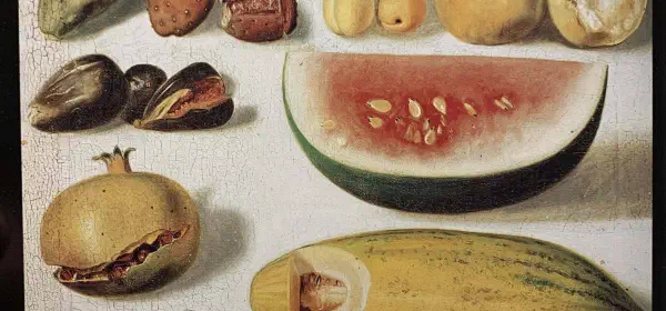 Illustration for Why Do Plants Bear Fruit?