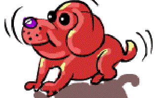 The Puppy that wanted to Play