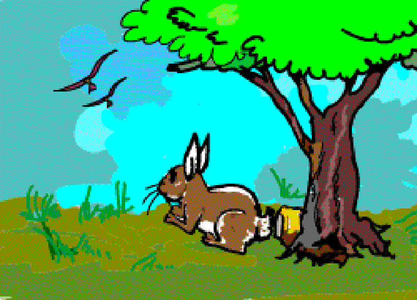 Golu Rabbit's Day Out [Illustrations by Anup Singh]