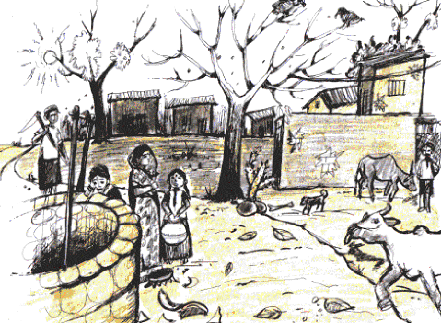 Mushir and the Magic Rickshaw [Illustrations by Kusum Chamoli]
