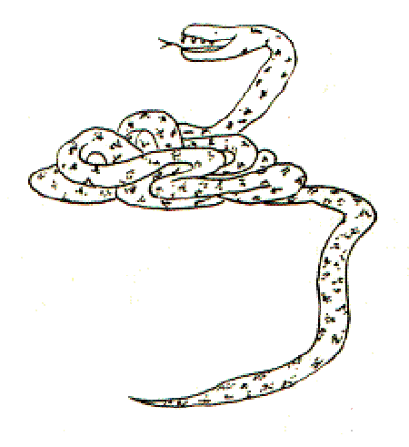 The Snake with the Golden Teeth [Published by Vigyan Prasar, India]