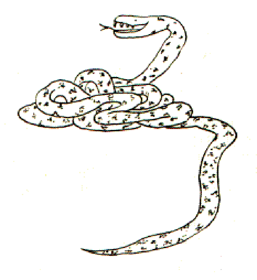 The Snake with the Golden Teeth [Published by Vigyan Prasar, India]