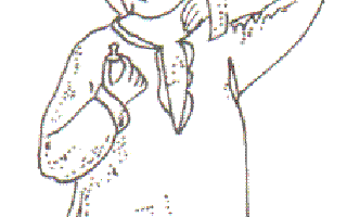 My Magic Collar Stud