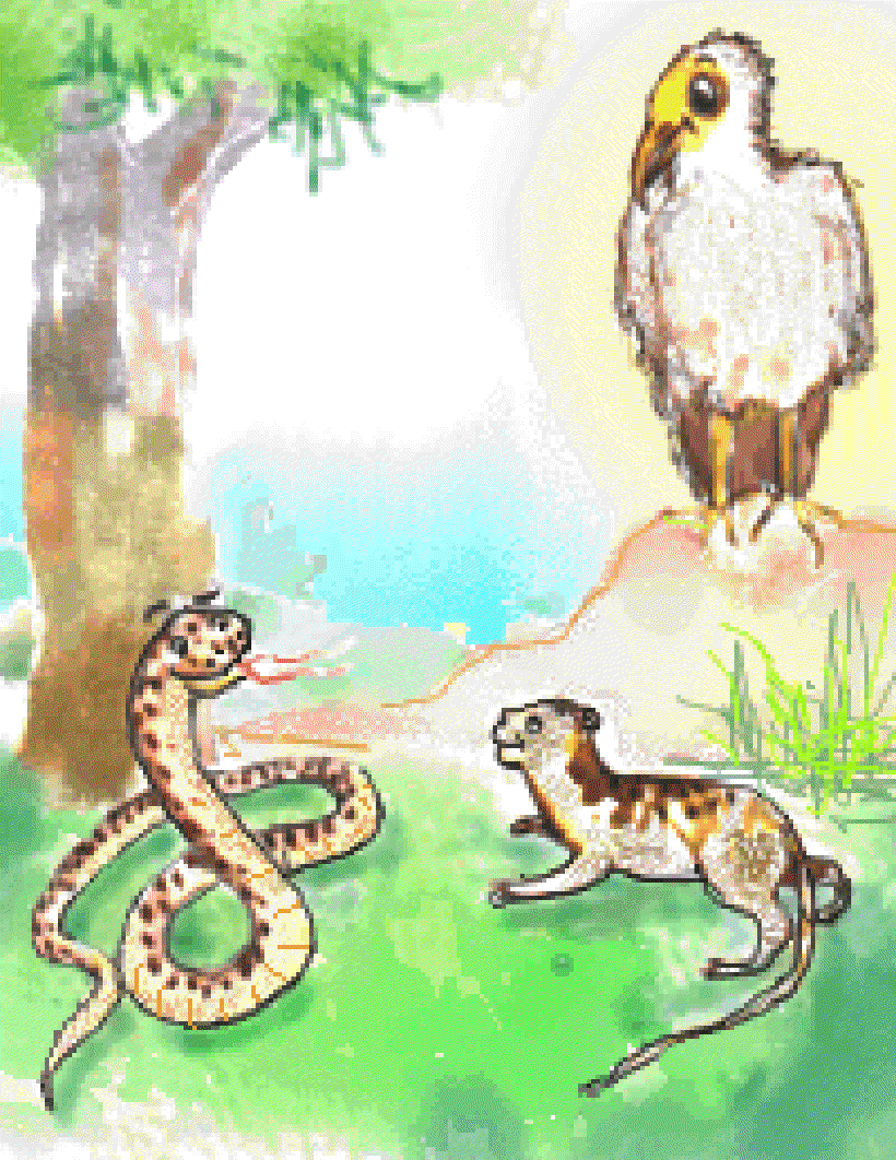 A Tale of Tails [Illustrations: Kusum Chamoli]