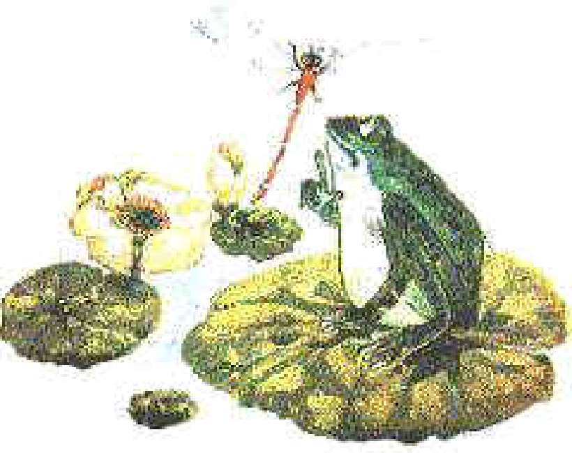 The Last of the Big Ones [By Uma Anand]