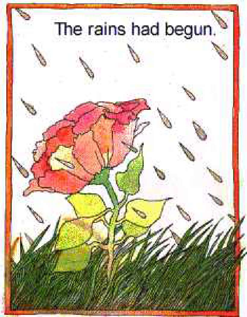 The Rainbow [Translated by:Mala Singh]