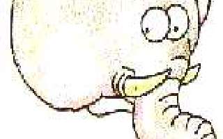 Elephants Don’t Diet!....