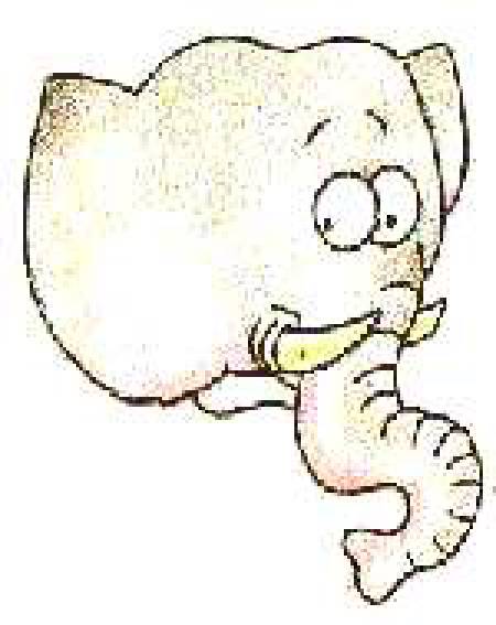Elephants Don’t Diet!.... [Illustrations by Priya Nagarajan]