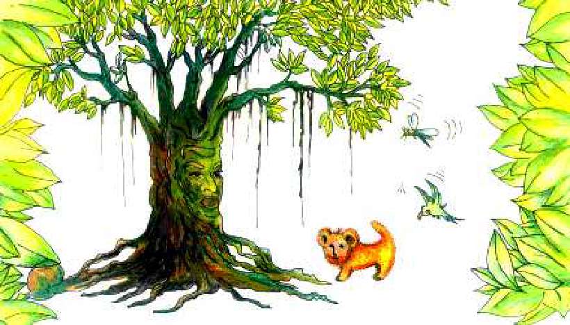 Boomba – The Lion Kid [Illustrations by Amarjeet Malik]