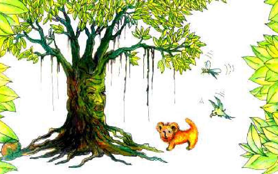 Boomba – The Lion Kid