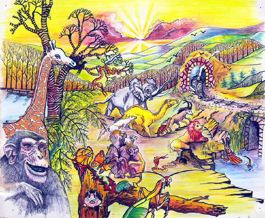 A Train Adventure of Wild Animals [Illustrations by Amarjeet Malik]