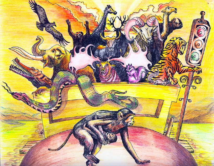 A Train Adventure of Wild Animals [Illustrations by Amarjeet Malik]