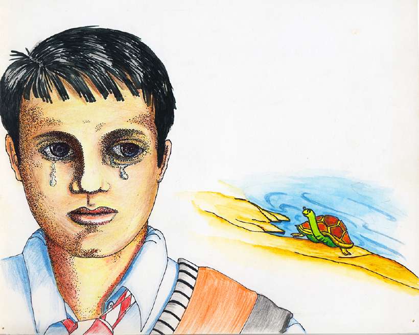 The Adventures of a Magic Turtle [Illustrations by Amarjeet Malik]