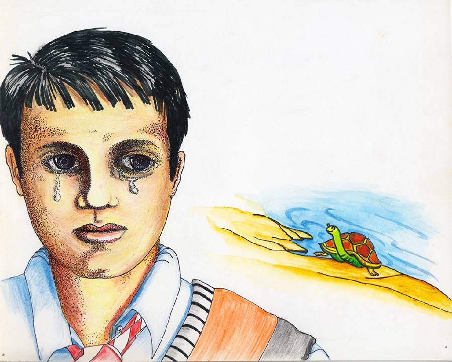 The Adventures of a Magic Turtle [Illustrations by Amarjeet Malik]