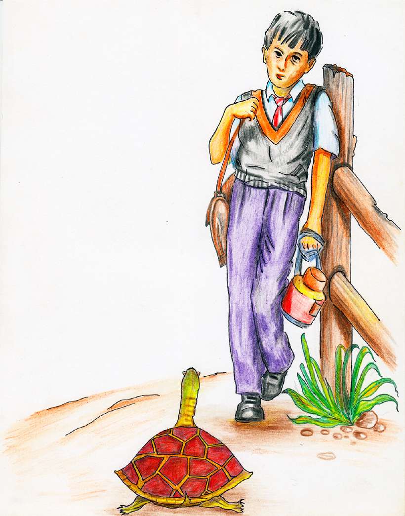 The Adventures of a Magic Turtle [Illustrations by Amarjeet Malik]