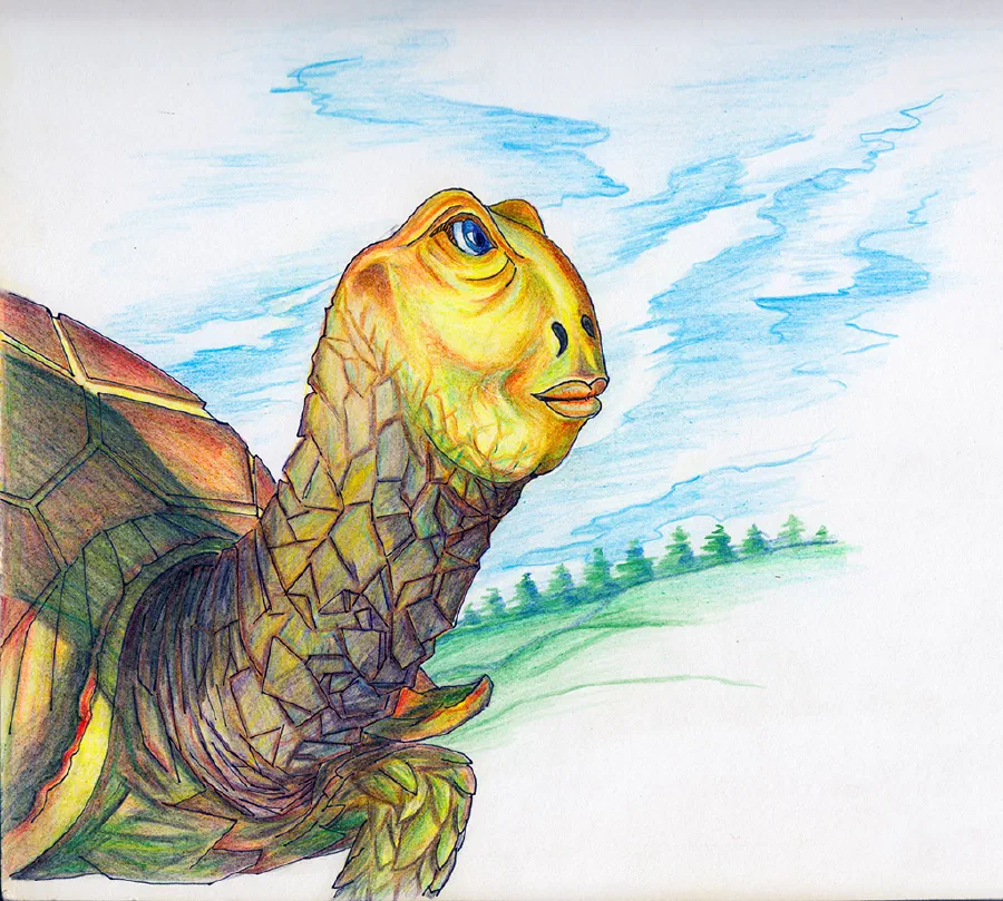 The Adventures of a Magic Turtle [Illustrations by Amarjeet Malik]