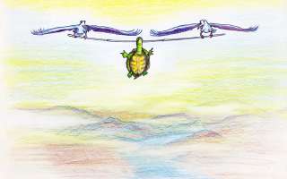 Flying Turtle