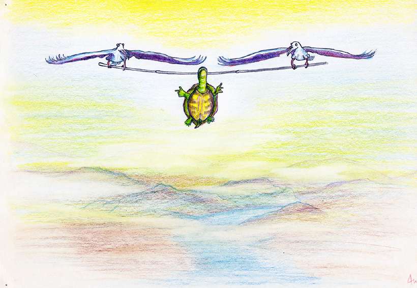 Flying Turtle [Illustrations by Amarjeet Malik]