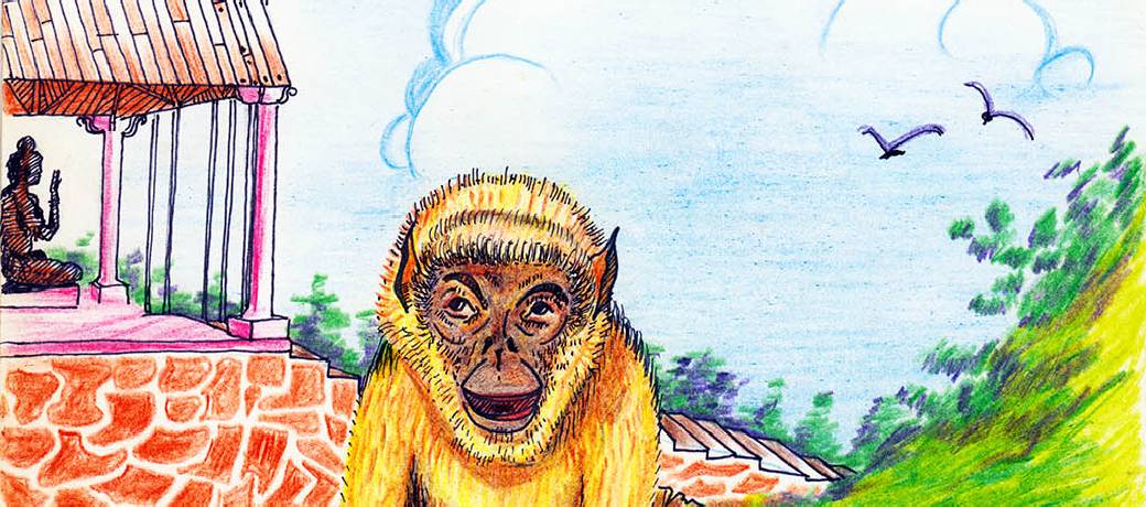Monkey Business