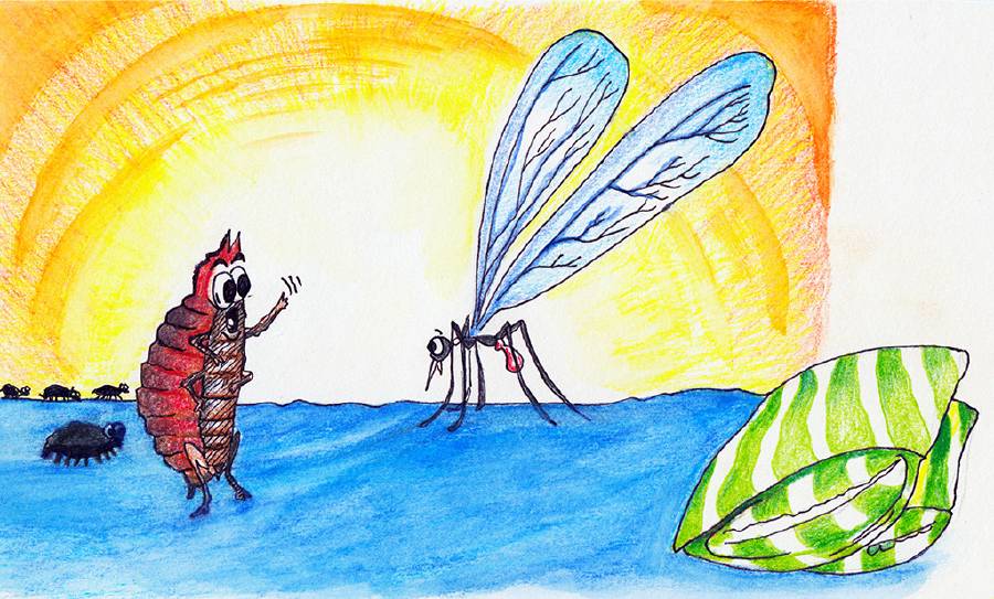 The Bed Bug and the Mosquito [Illustrations by Amarjeet Malik